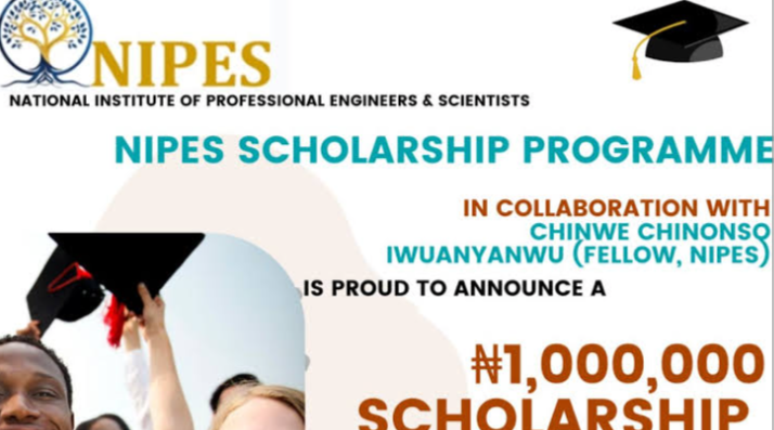NIPES Chinwe Foundation Scholarship 2025